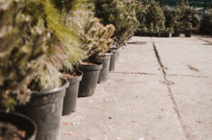 A row of planters on a concrete surface outside.