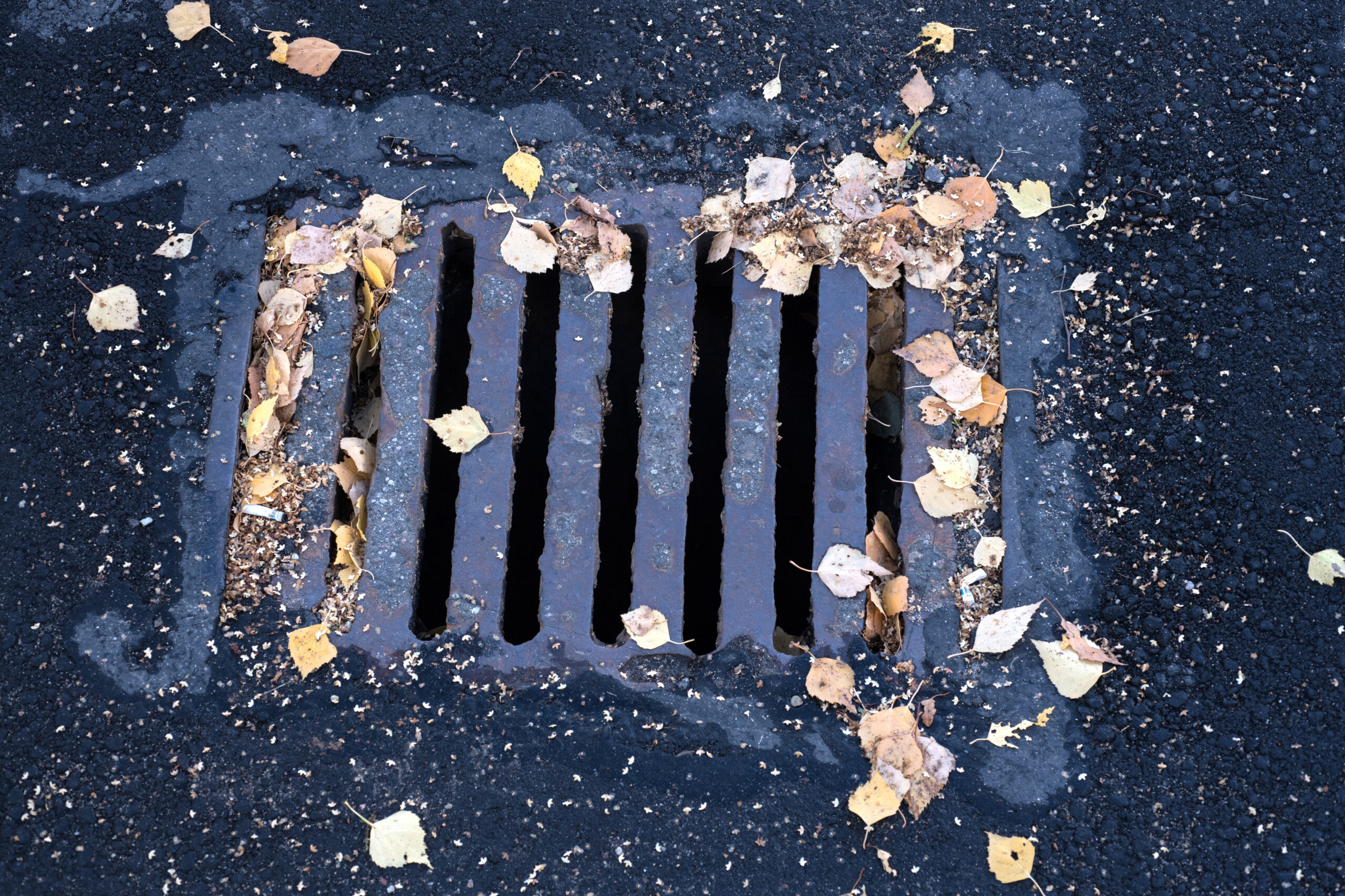 Mudjacking myths- A drain surrounded by decaying leaves 