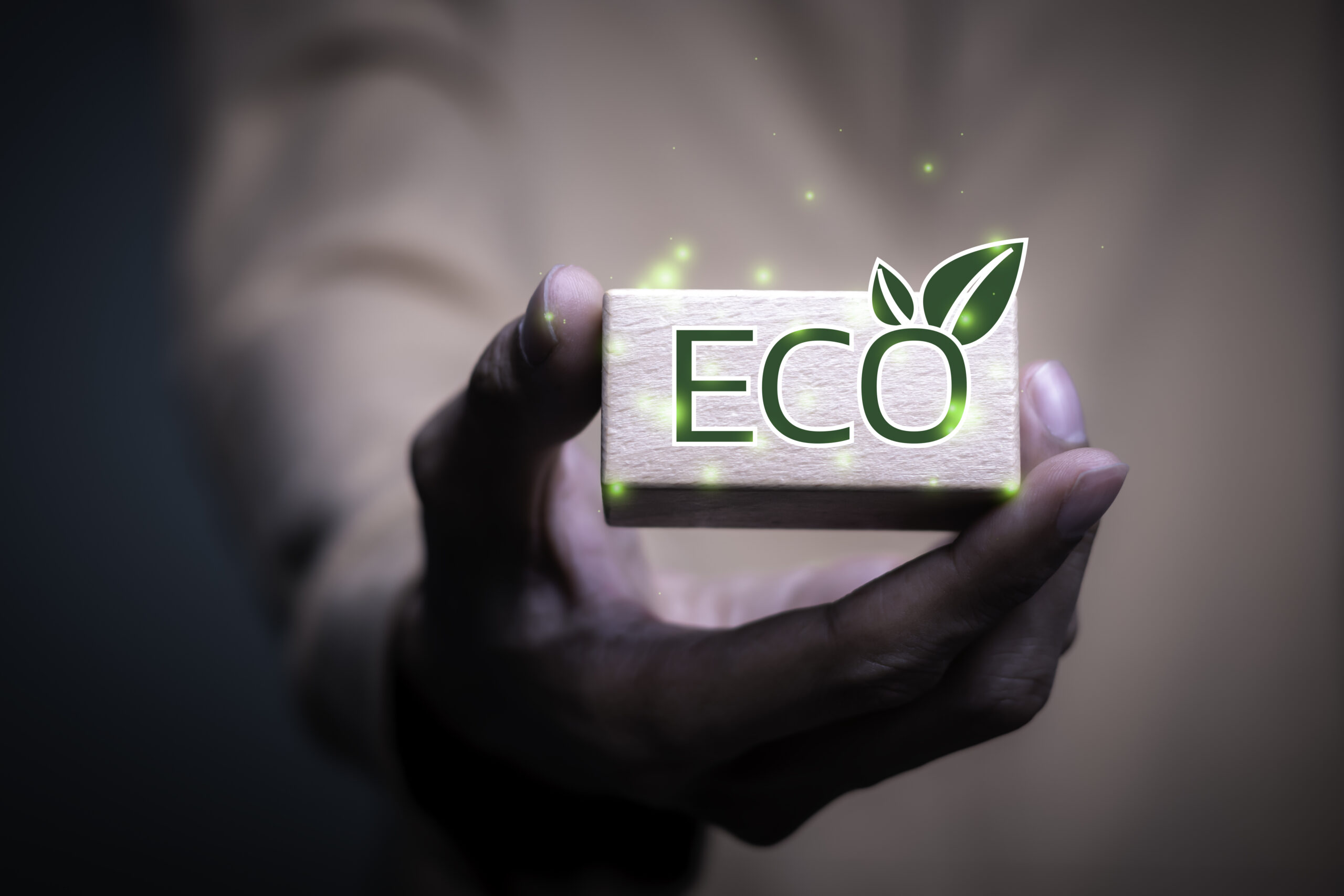 Environmental Benefits of Mudjacking - A Man Holding a Block with the Word Eco On It