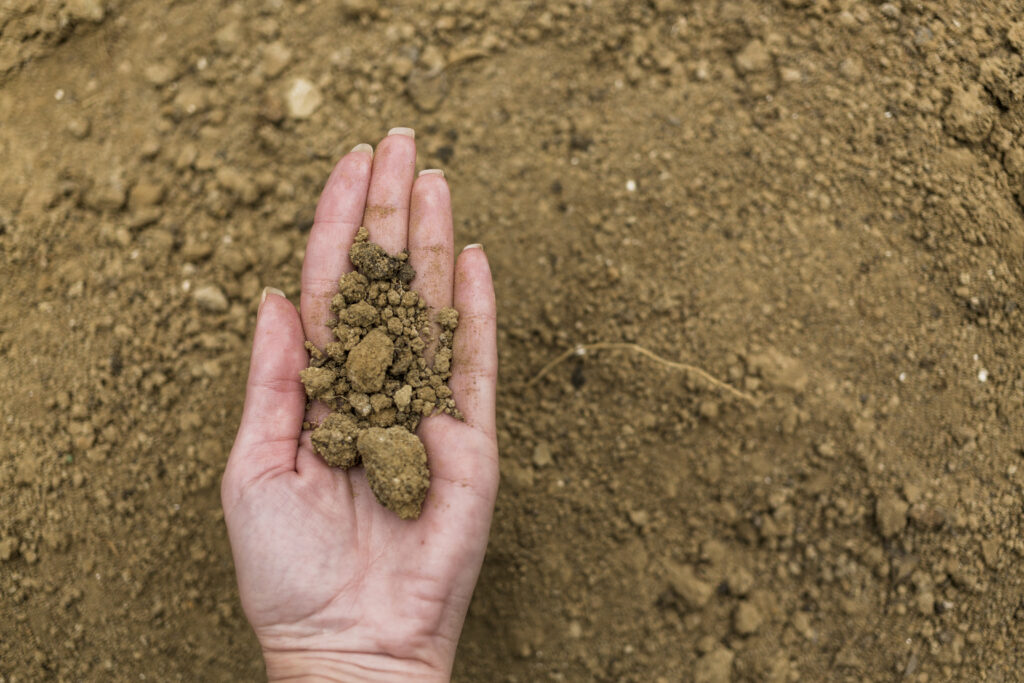 A woman's hand cupping a type of expansive soil in her hand