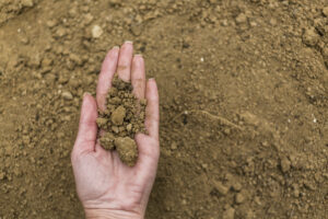 A woman's hand cupping a type of expansive soil in her hand