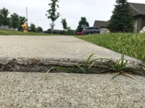 The concrete slabs are uneven and sunken and require mudjacking and concrete lifting