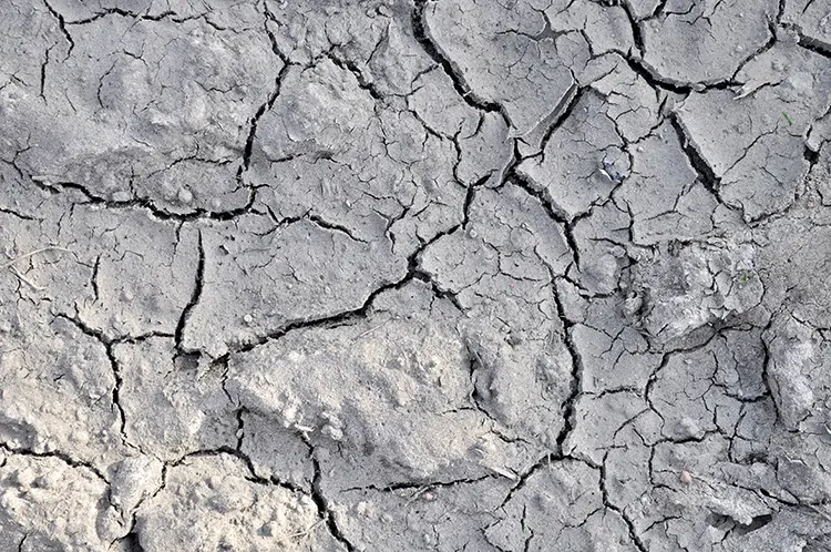 Concrete erosion can be seen in the concrete slab with lots of cracks